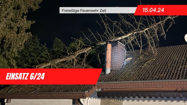 6/24 - umgestürzter Baum